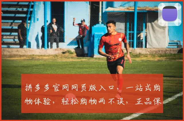 拼多多官网网页版入口，一站式购物体验，轻松购物两不误，正品保障，优惠多多，速来体验